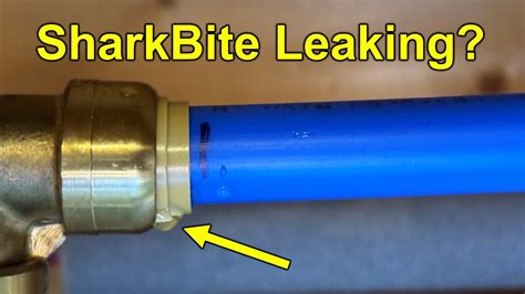 shark bite leaking|6 Mistakes That Cause SharkBite Fittings To Leak; Watch